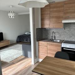 Rovaniemi City Center 1