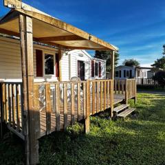 Mobil home confortable pour 4 avec terrasse - API-1-52-256