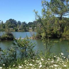 Mobil-home cosy avec terrasse pour 2 personnes - API-1-52-276