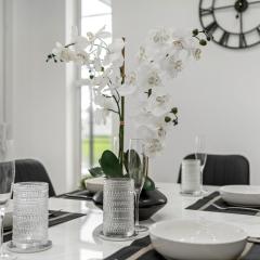 Modern Florida Escape