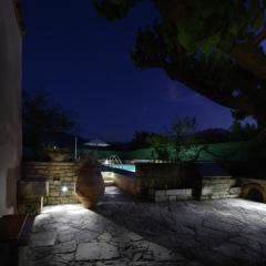Villa in Crete with Vineyard Experience