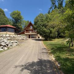 Wolf House