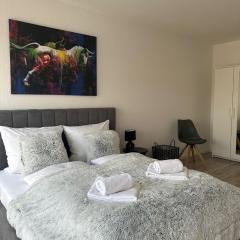Stayaire