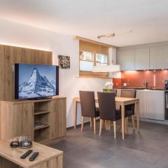 Top Ferienwohnung Dom Skiin Skiout