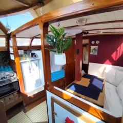 Saga, Voilier confortable en bois