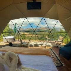 Sweet Forest-Domo Sol