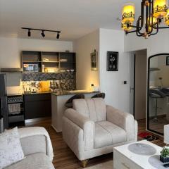 Snyder luxe homes