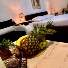 Villa Srna Apartments