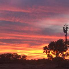 Wirraminna Station Accommodation