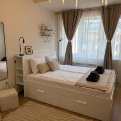 Koko's Cozy Apartment - free Garage Netflix and Balcony