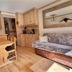 Résidence Alpinea - CHARMANT 2 PIECES + COIN NUIT RENOVE, SKIS AUX PIEDS MAE-6634