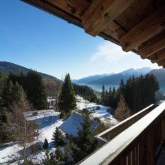 Chalet in Mittersill near Ski Slopes