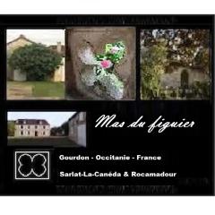 Mas du figuier Occitanie - Maison de maitre