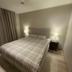 Modern house at Senja