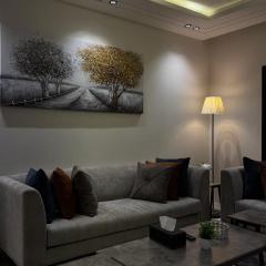 شقة أنيقة بتصميم مودرن غرفتين نوم وصالة Rr011