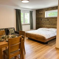 Apartmán Sachrák Harrachov