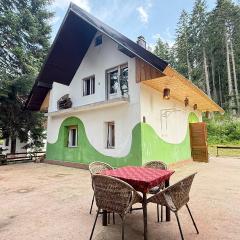 Blueberry Mountain House