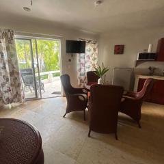 Ángel azul 16 pasos de la playa