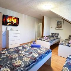 Comfort Stay Apartment in Wuppertal