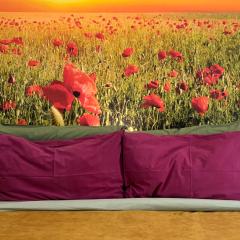 BioBenessere Eco-B&B -Adults Only- Moto&Bike Parking