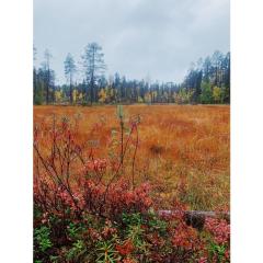 Holiday Home Sallan lumous a by Interhome