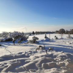 Holiday Home Gustis Hüsli - Alpensicht & Natur pur by Interhome