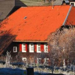 Black Forest farmhouse Bernau