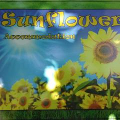 Sunflower Accommodation