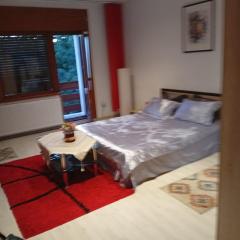 pensiune Valentin, apartament 2 dormitoare cu terasa, Iulius Mall