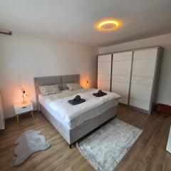 Apartman Omerovic - Panon Centar Tuzla