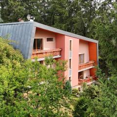 Ski&hike apartments Krkonoše - Janské Lázně