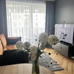 Apartament Grafitowy