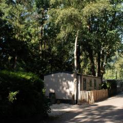 't Veluws Nest - Knus Chalet Veluwe - Hoenderloo, Honden welkom