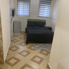 Louis Apartments