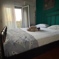 Themis Apartment in Athens - Court Area