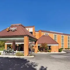 Comfort Inn Lexington Virginia Horse Center