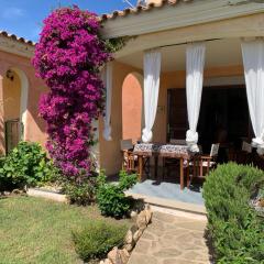 Sardegna colori e profumi