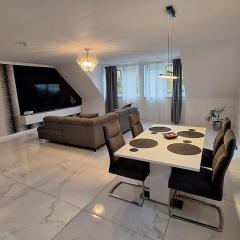 Modern apartment near airport