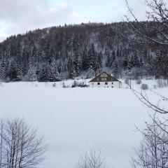 Domaine Des Hauts Viaux