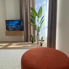 Europe city lux apartment