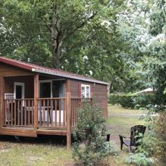 Mobil-home 4 pers avec terrasse à Vendays-Montalivet - API-1-52-195