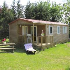 Mobil Home 34m² avec Terrasse pour 6 à Dévillac - API-1-52-331