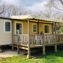 Spacieux Mobil-home 3 Chambres avec Terrasse - API-1-52-444