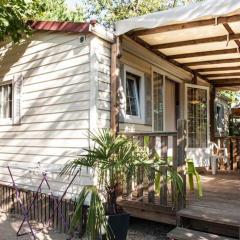 Mobil home 6 pers avec terrasse à Ribes - API-1-52-447