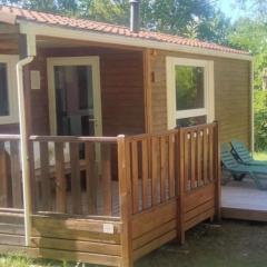 Mobil home confortable avec terrasse à Dévillac - API-1-52-449