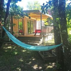 Mobil home spacieux avec terrasse à Dévillac - API-1-52-234