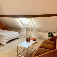 Chaleureuse et spacieuse chambre, sdb privative