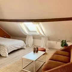 Chaleureuse et spacieuse chambre, sdb privative
