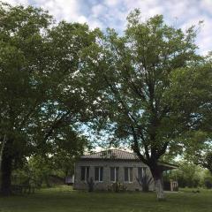 ELENA HOUSE kONTUATI