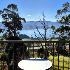 Tamar Tonic - Lush River Views